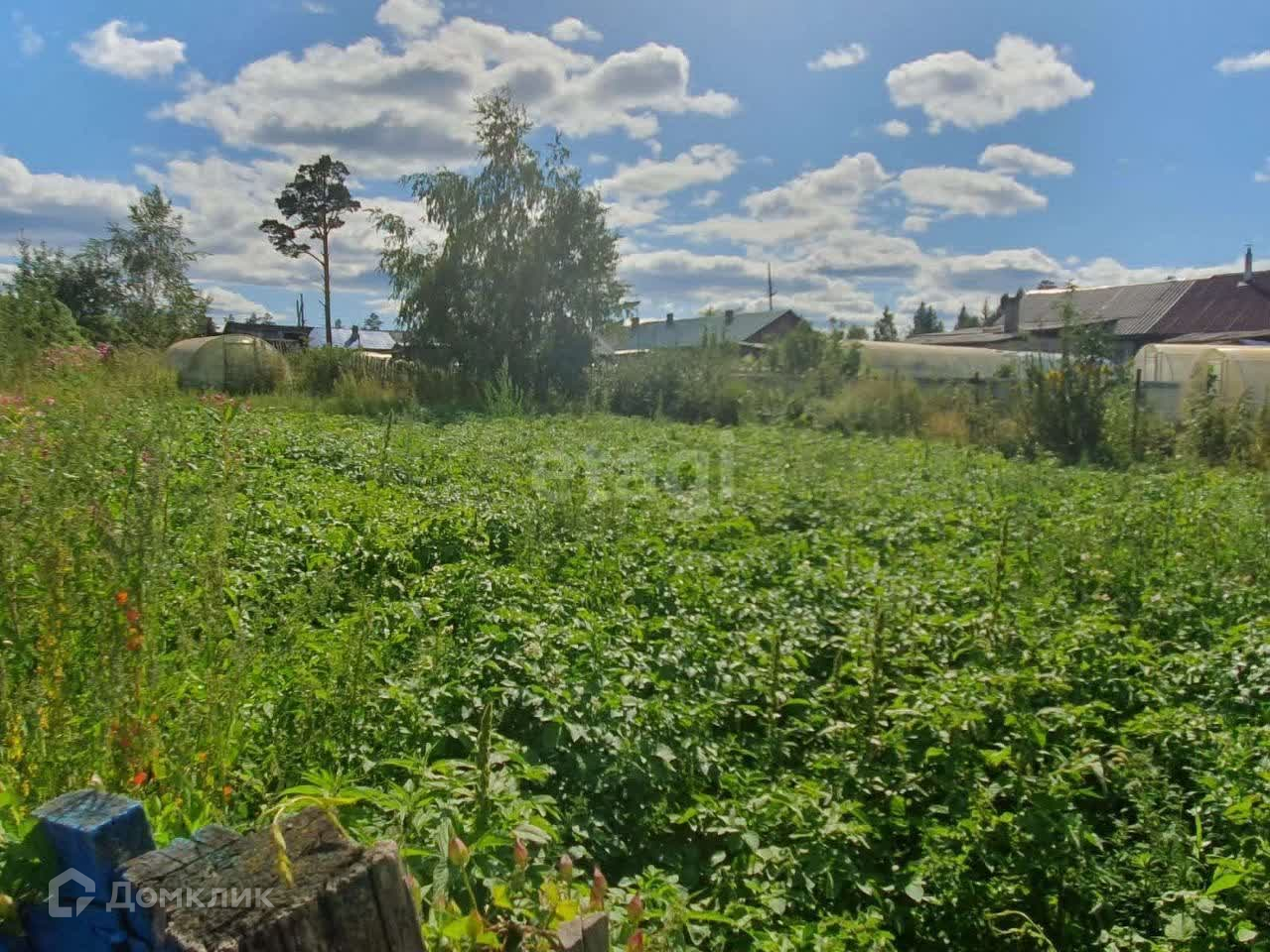 Купить Дом В Арейском Красноярского Края