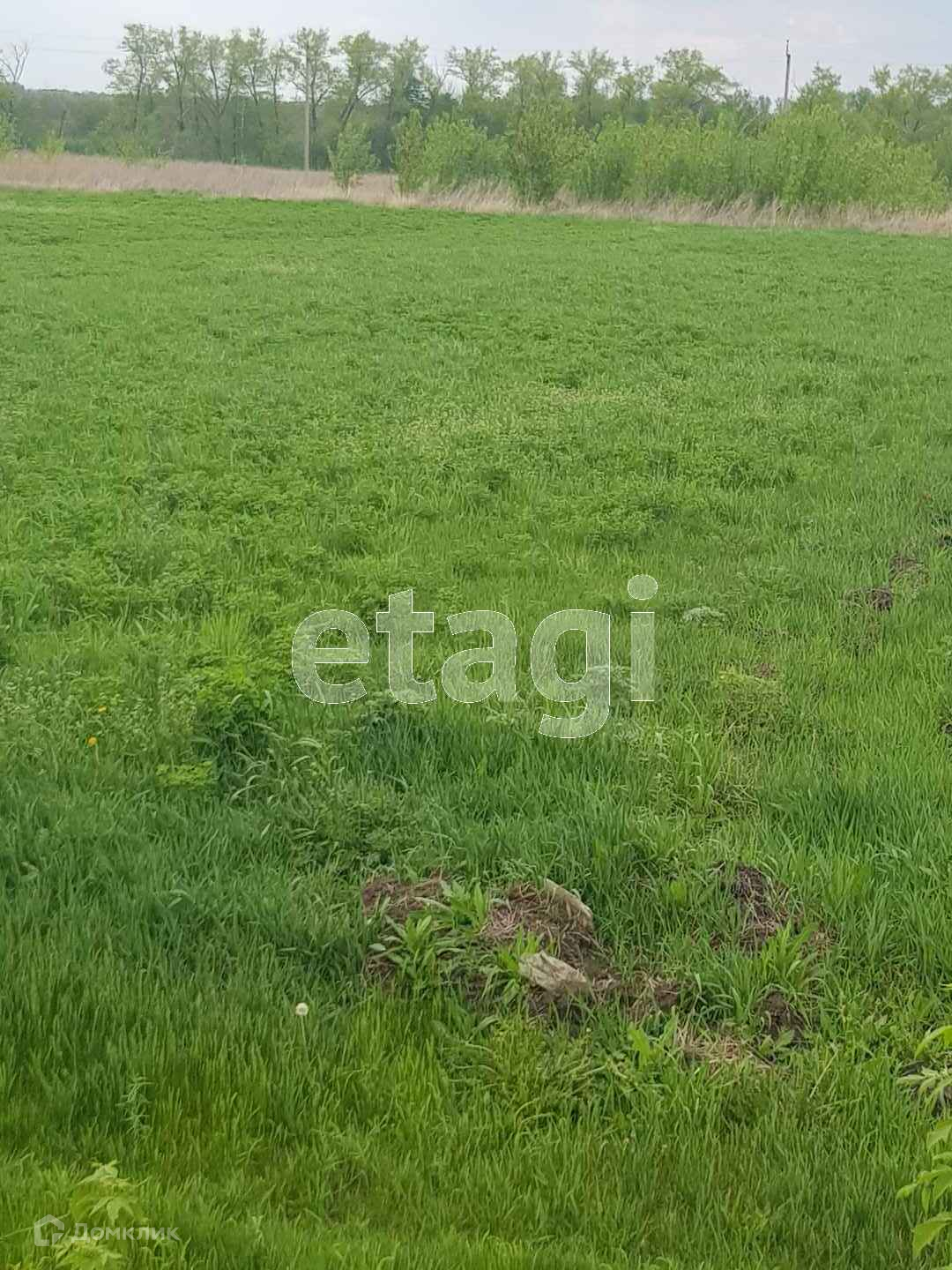 Купить Участок В Воронеже Рамонский Район