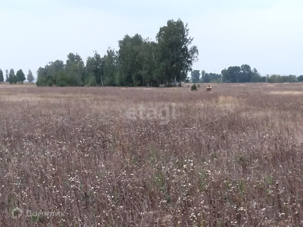 Мальцево набережные челны