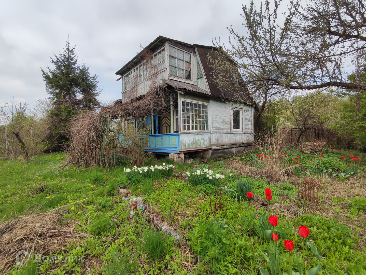 Купить дом, 77.3 м² по адресу Орловский муниципальный округ, посёлок  городского типа Знаменка, садоводческое некоммерческое товарищество Дружба  за 700 000 руб. в Домклик — поиск, проверка, безопасная сделка с жильем в  офисе Сбербанка.