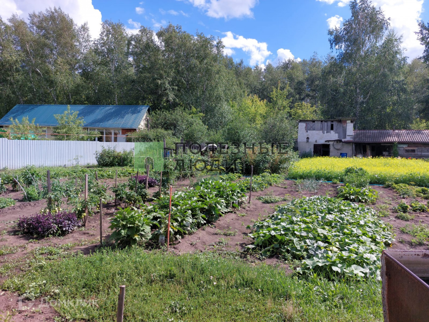 Купить Дом В Кургане Поселок Чистое Поле