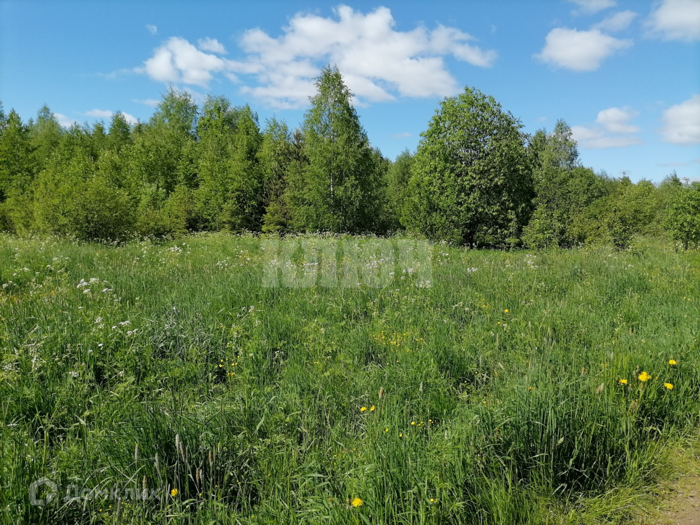 Купить Участок Юрково Сокольский Район Нижегородская Область