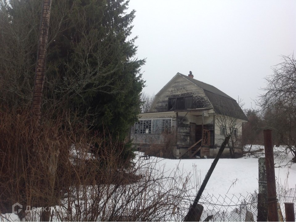 Снт дружный. Садоводство дружный. Дружное 4. Снт дружный чайковский. Дружное 4.