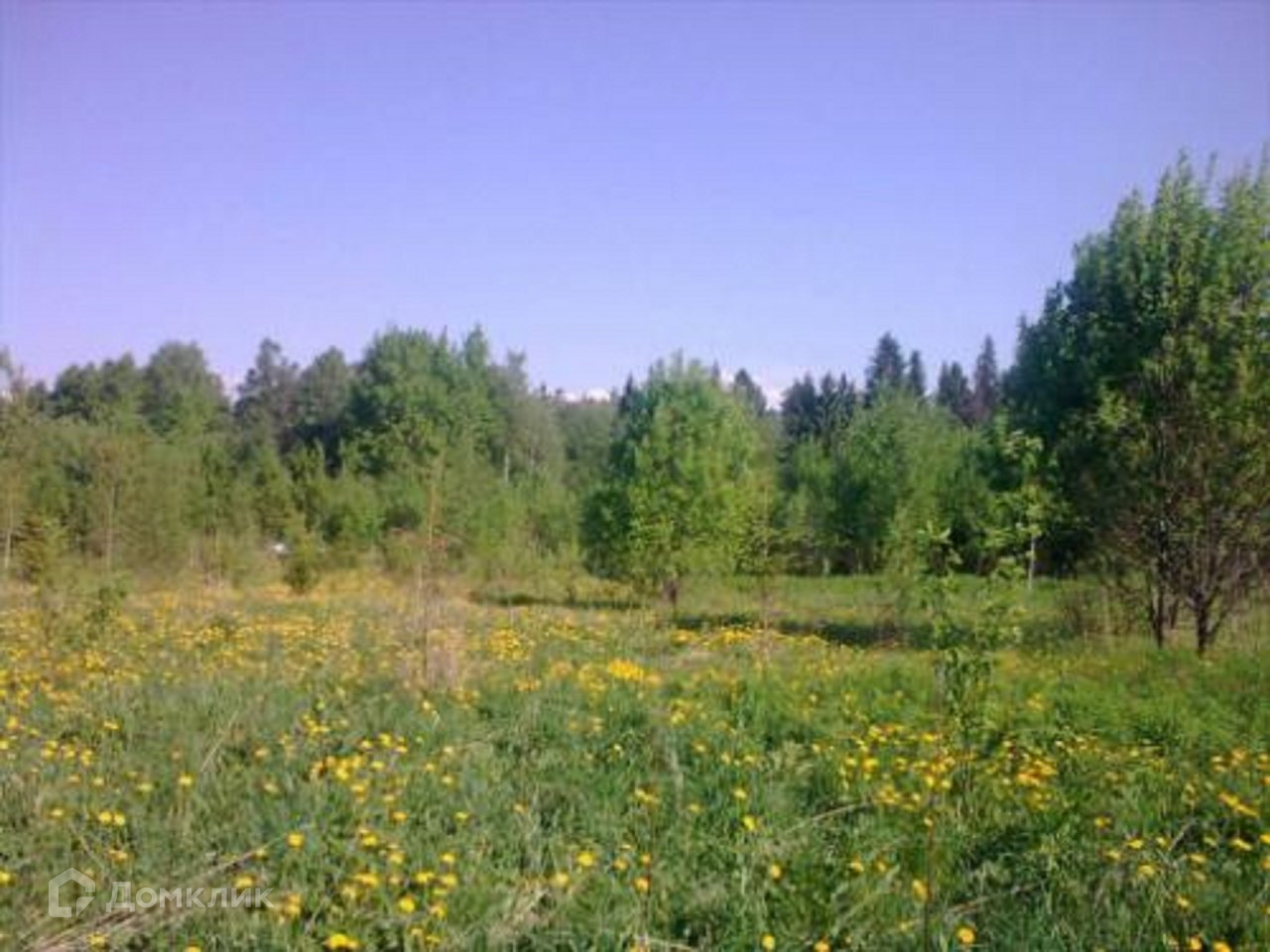 Купить Участок В Деревне Лужского Района