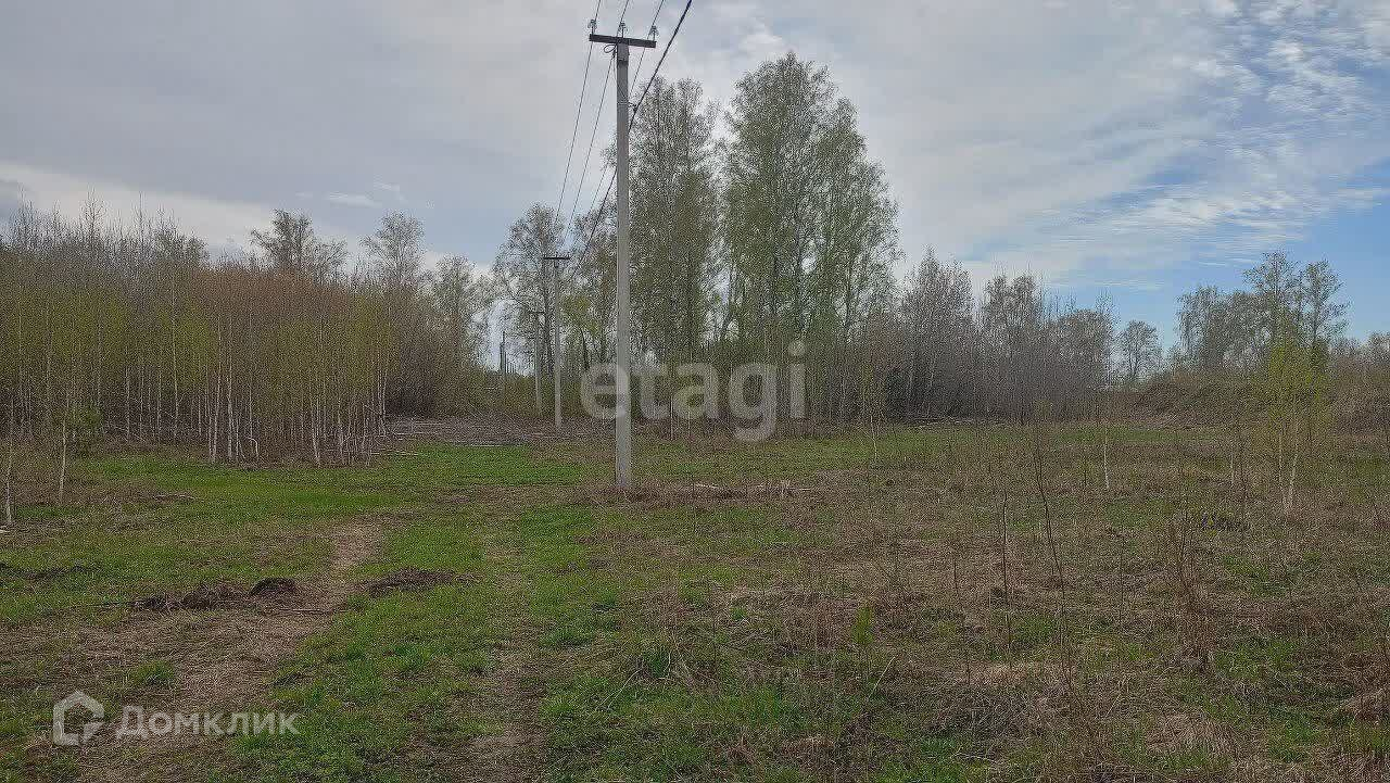 Купить участок, 8 сот., ИЖС по адресу Алтайский край, Барнаул, микрорайон  Спутник, Ясеневая улица, 3 за 1 100 000 руб. в Домклик — поиск, проверка,  безопасная сделка с жильем в офисе Сбербанка.