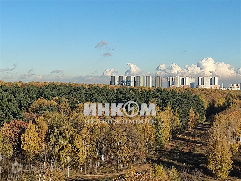 Скандинавский бульвар фото