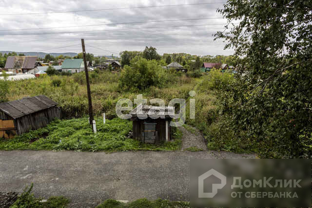 Абагур лесной колония 16 фото