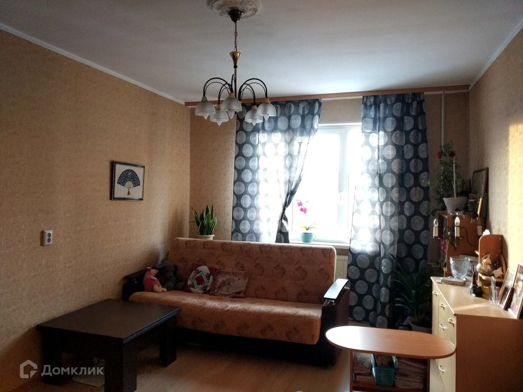 Двухкомнатная В Петербурге Купить