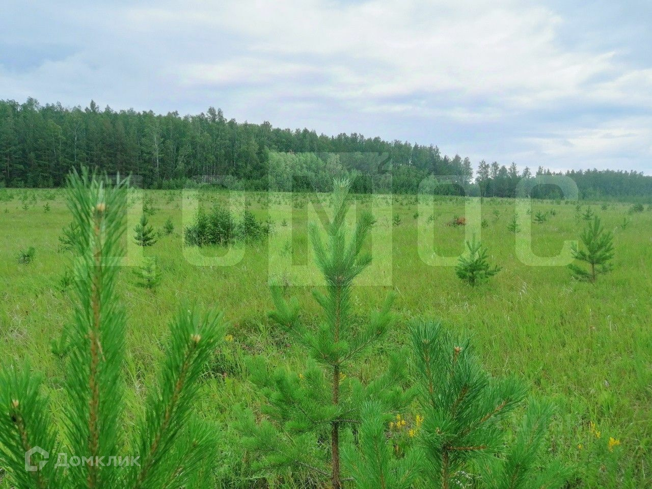 Купить Участки Ижс Свердловская Область