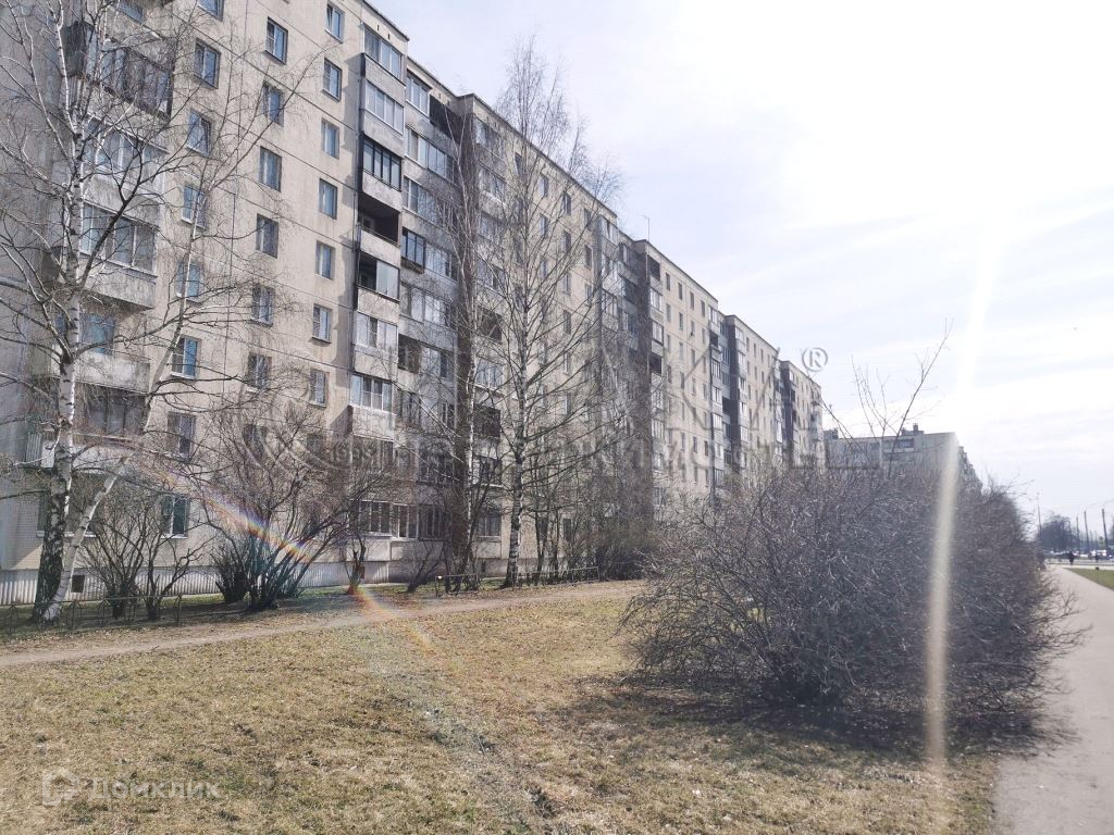 Будапештская 24 спб. Улица турку 5/13. Приборостроительная 15 орел. Будапештская 110/23 подъезд. Будапештская улица, 104к1.