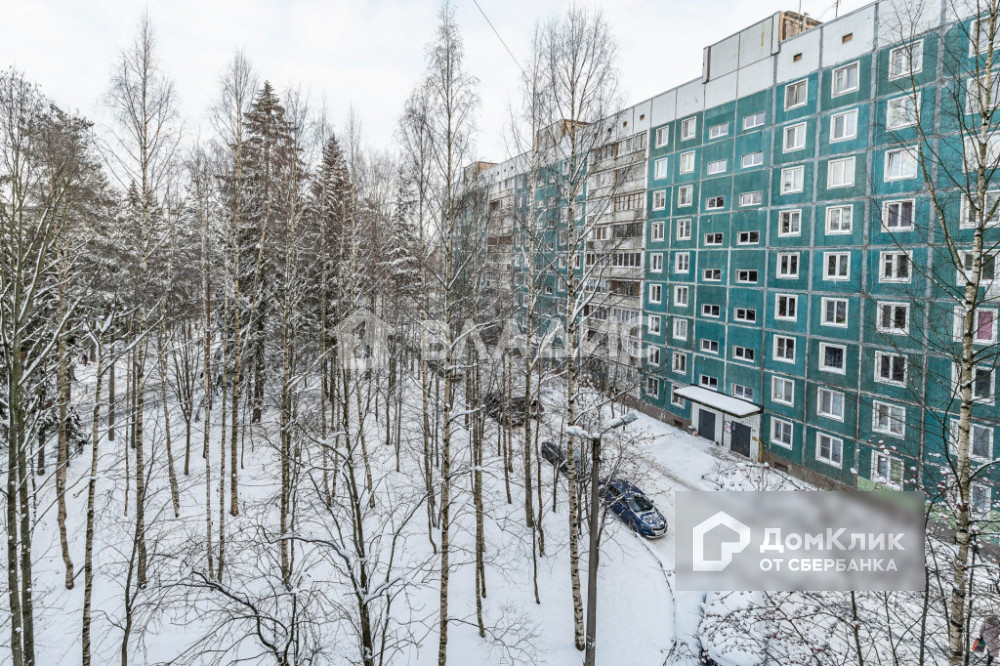 Сертолово ленинградская область фото