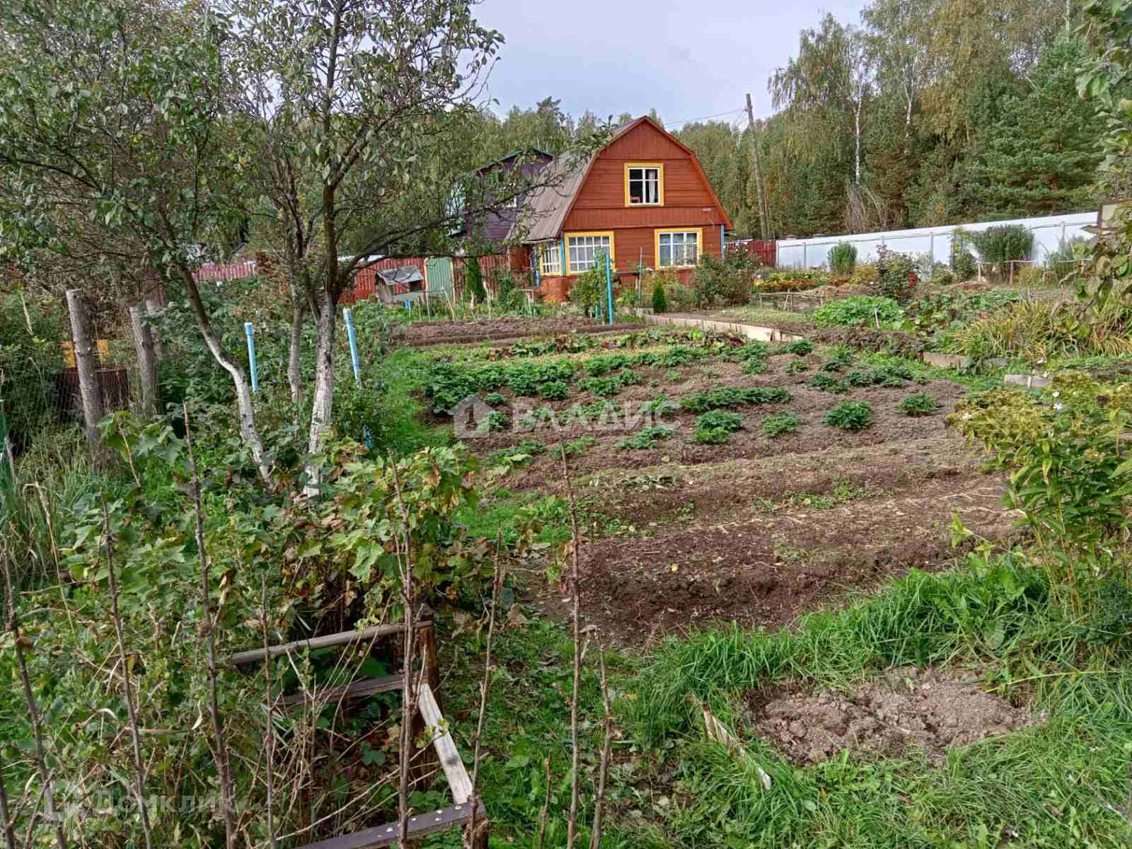 Купить Участок В Снт Лесное Собинка