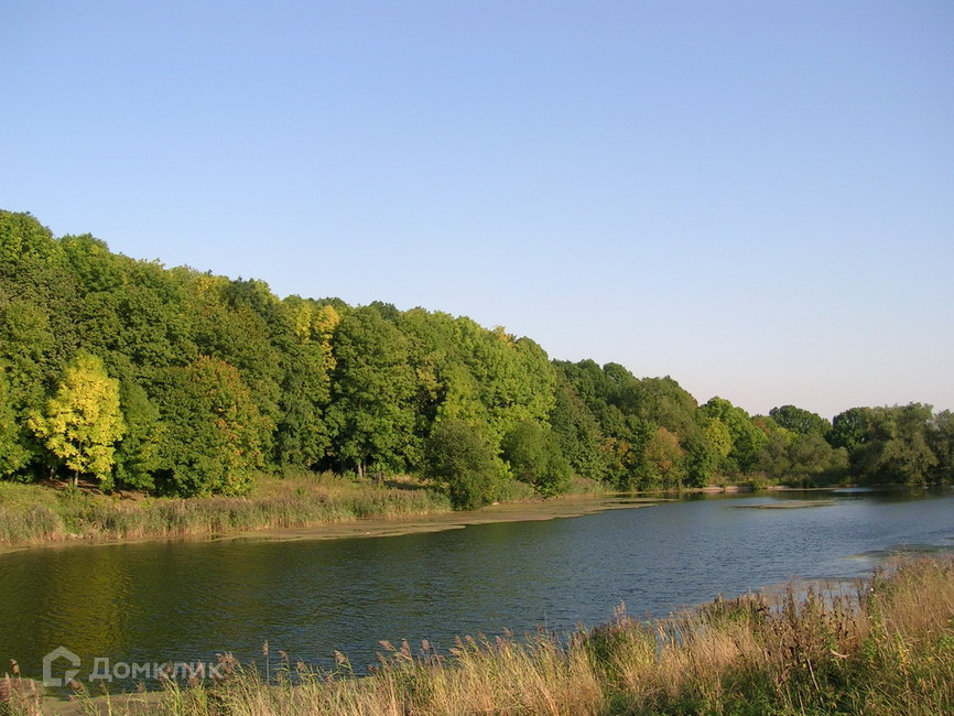 Села тула. Село высокое Тула. Деревня высокое Тульская область. Деревня высокое Тульская область Ленинский район. Деревня высокое Тула.