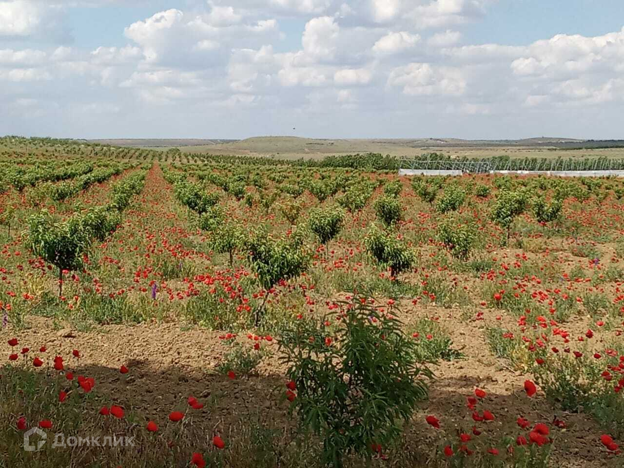 Купить дом, 90.5 м² по адресу Республика Крым, Бахчисарайский район, село  Тенистое, улица Алиме Абденнановой за 5 150 000 руб. в Домклик — поиск,  проверка, безопасная сделка с жильем в офисе Сбербанка.