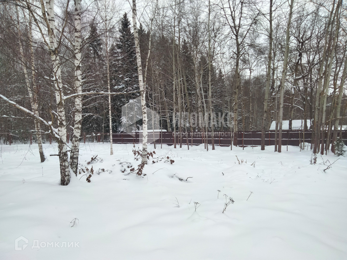 Москва поселение первомайское деревня настасьино серебряная чаша. Малиновка Москва.