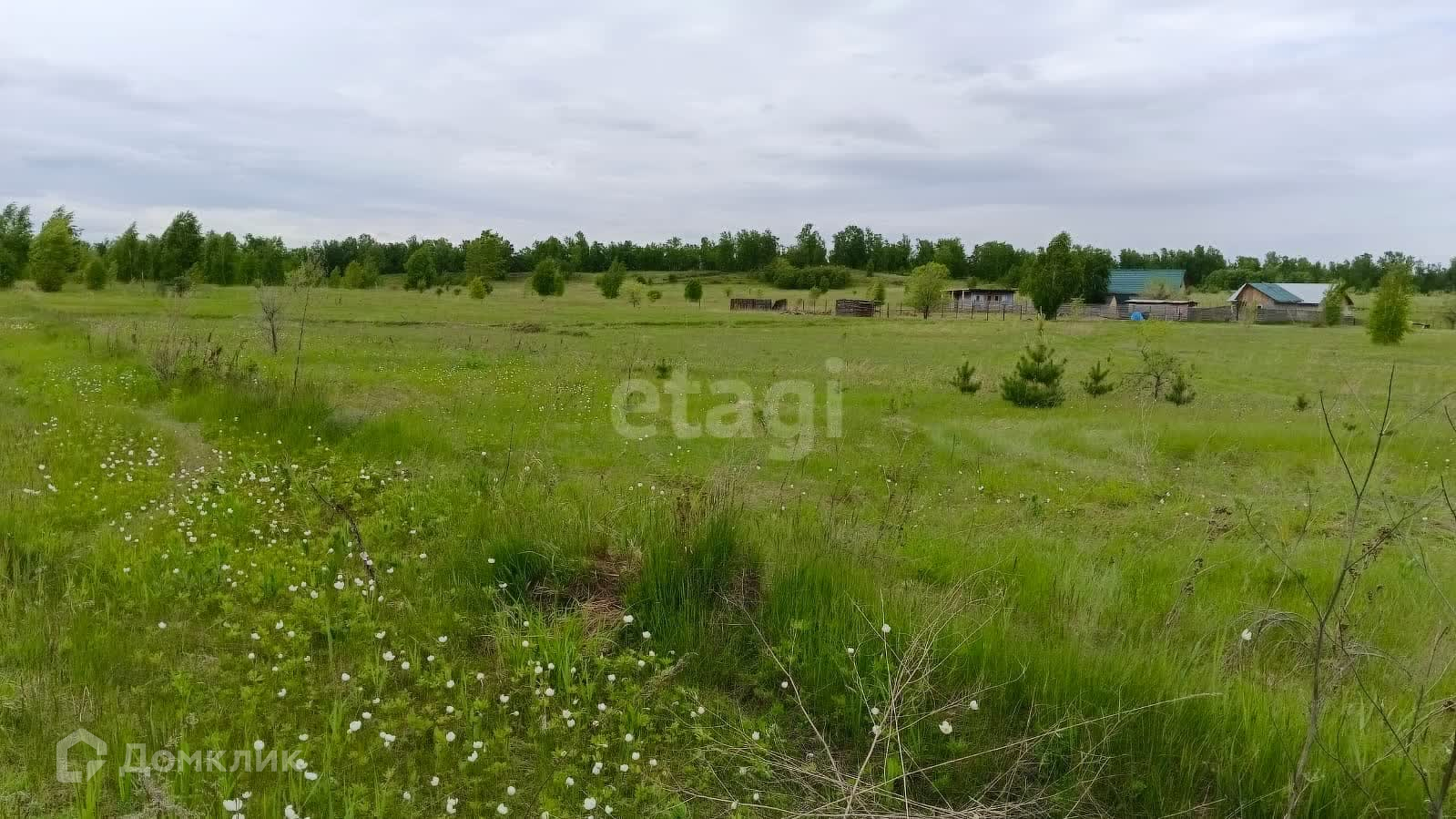 Красноярский край, берёзовский р-н, днт большая поляна. Дача таймыр баня хаус. Деревня крутая красноярский край фото. Днт марлин. Днт марлин.