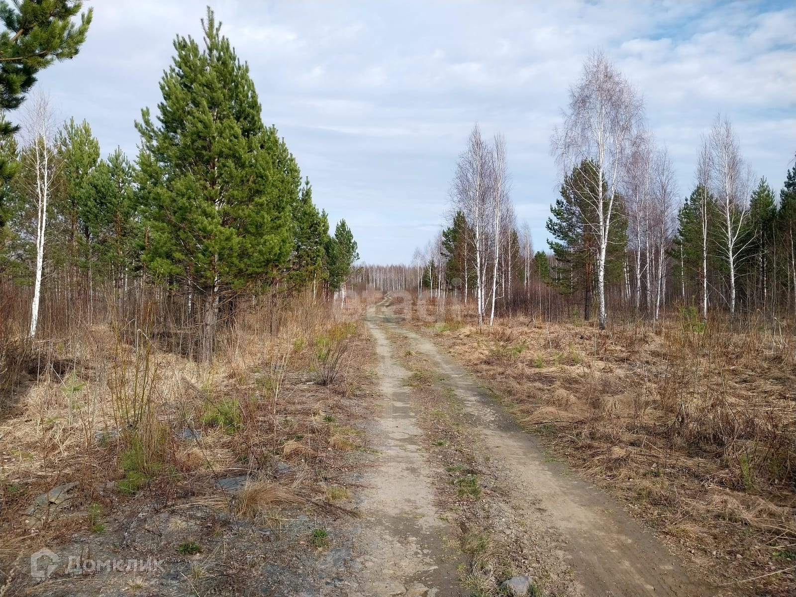 П кедровое верхняя пышма. Посёлок кедровое верхняя пышма. поселок кедровый. кедровый (посёлок городского типа). поселок кедровый хмао.