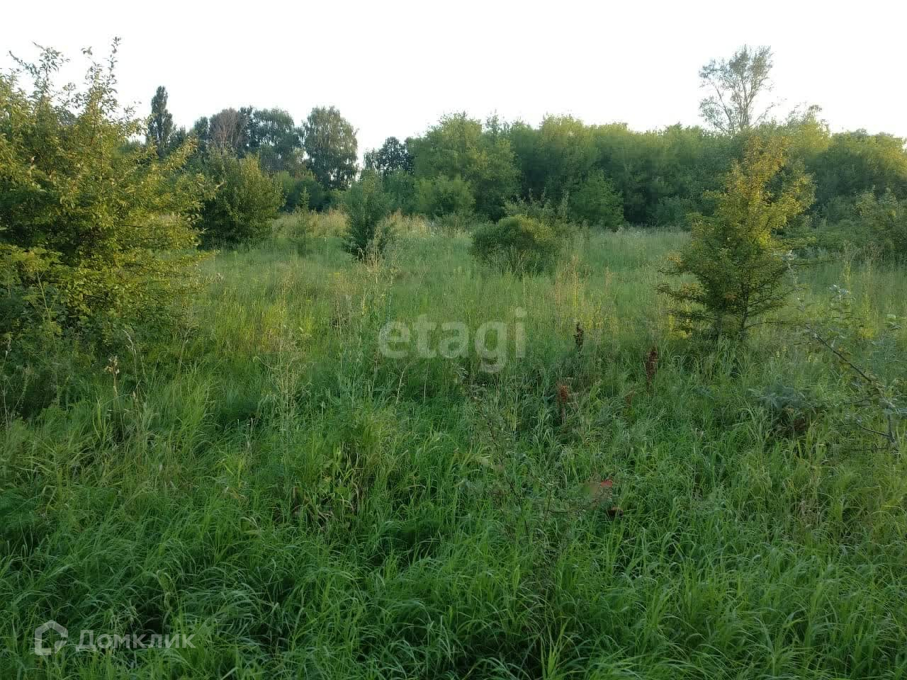 Купить Участок В Воронеже Рамонский Район