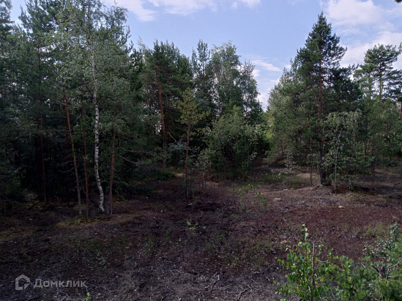 Купить Участок В Ленинградской Области Всеволожский Район