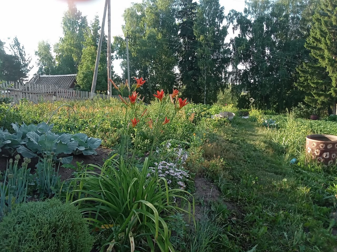 Купить Участок В Томске Недорого