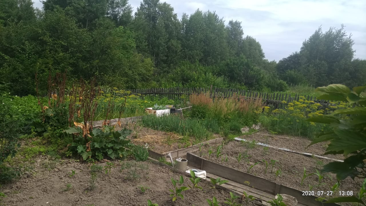 Хабаровский Край Село Мичуринское Купить Дом