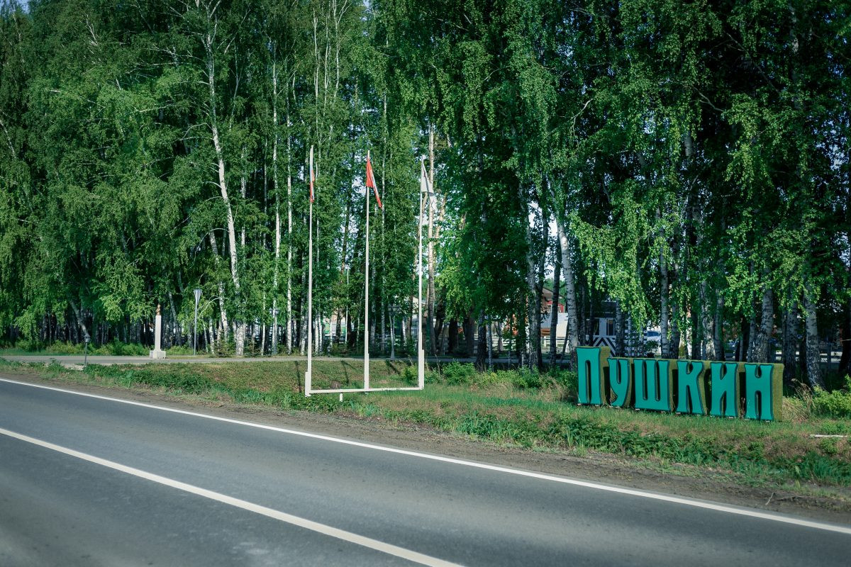 Поселок пушкин. Пушкино Омск. Поселок кружавино Омская область. Посёлок Пушкино Омск. Пушкин коттеджный поселок.