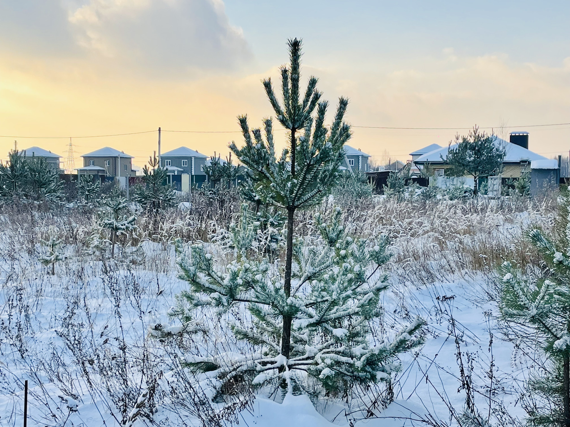 Купить Земельный Участок В Городе Раменское