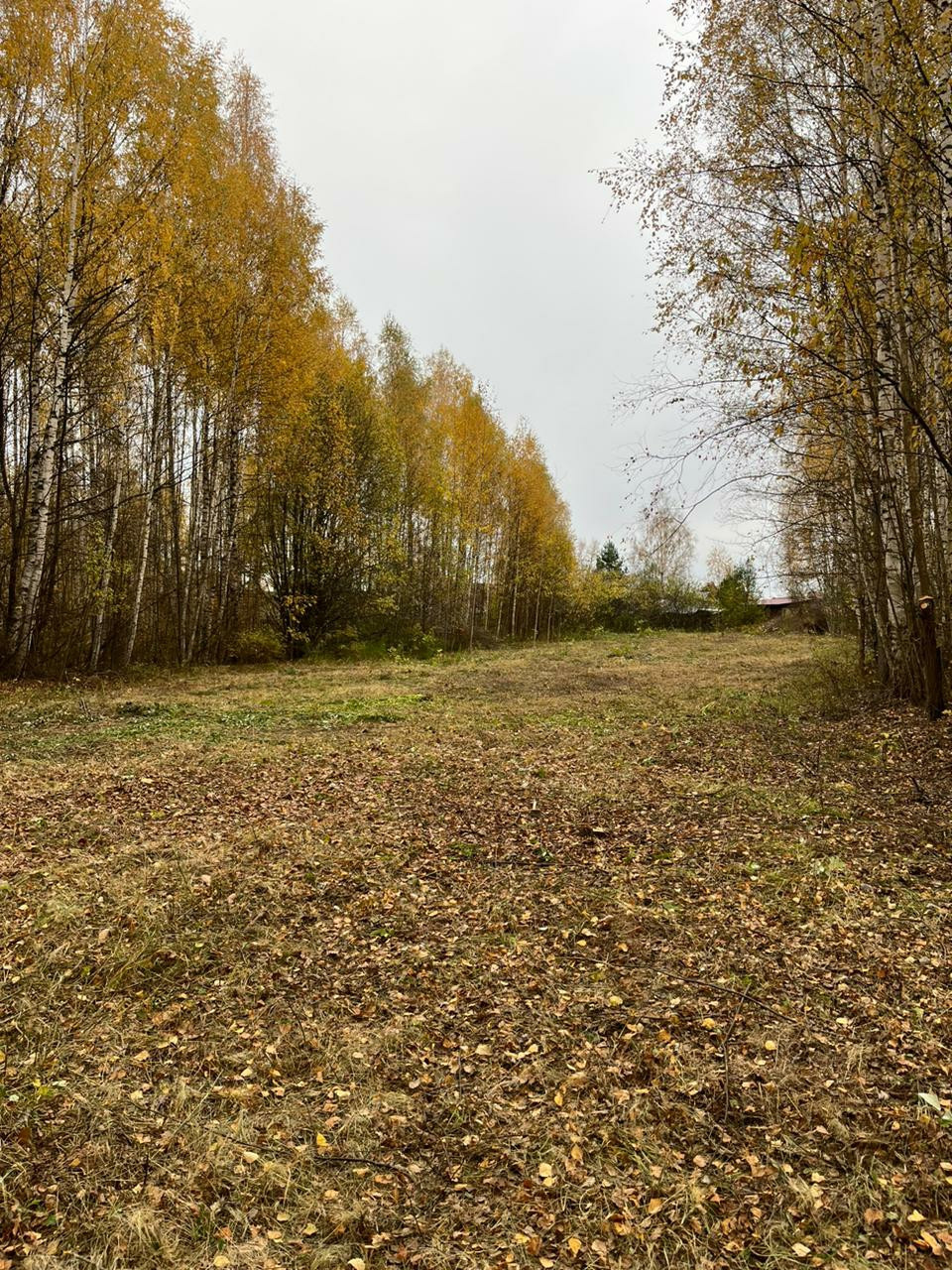 Купить Участок Юрково Сокольский Район Нижегородская Область