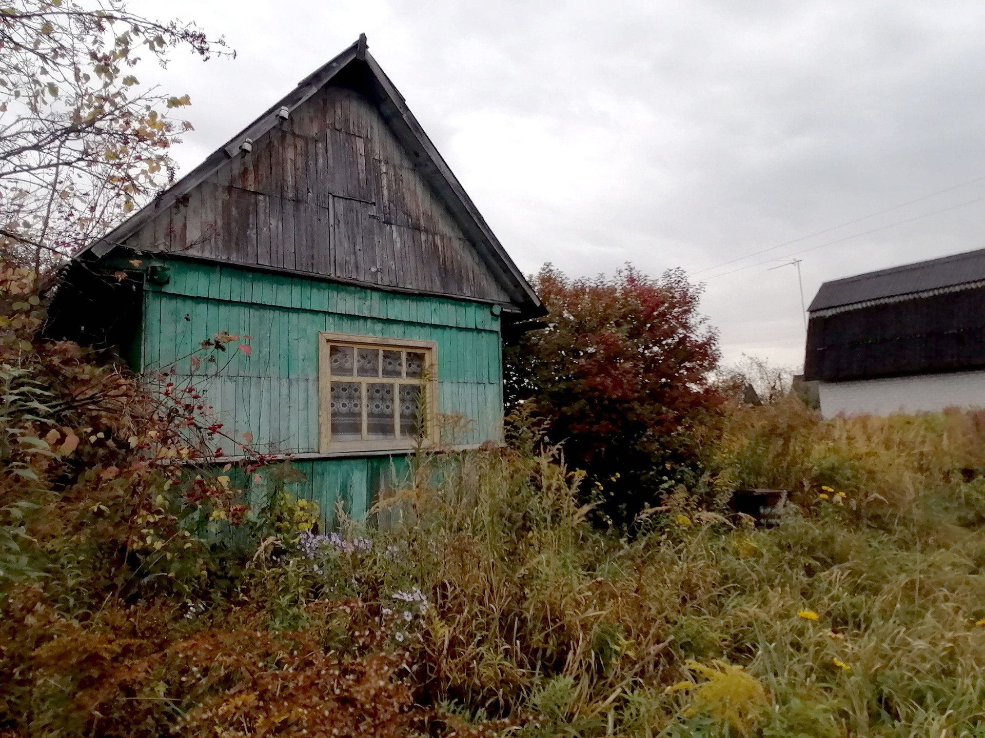 Купить Дом В Сельцо Брянской Области Свежие