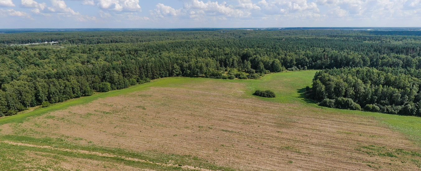 Д ивановка домодедовский район. Ижс бор. Еловый бор ивановка. Бор домодедово. Ижс бор домодедово.