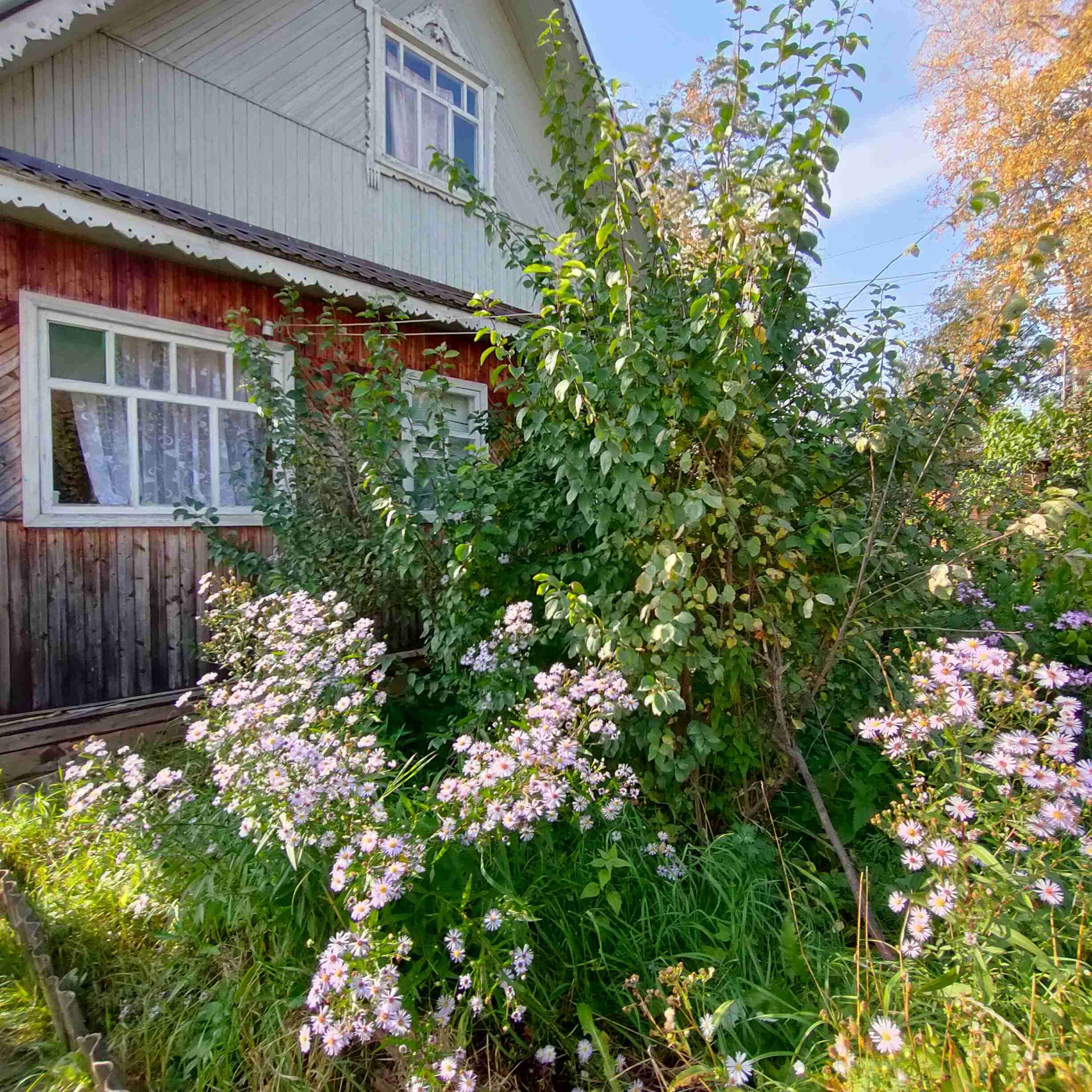 садовод севера. снт садоводы севера коряжма. район поселка садовники сахалин. дачные домики коряжма. садовод севера.