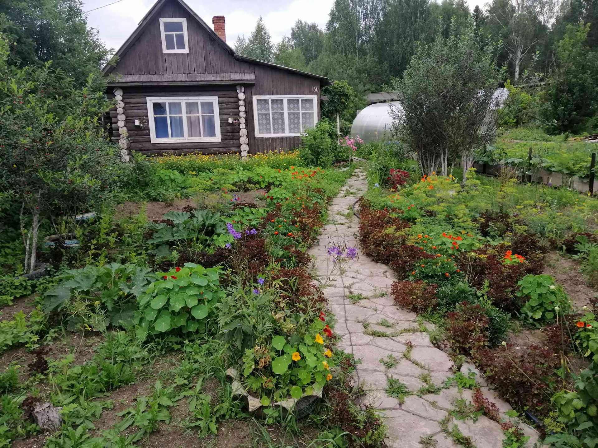Снт Калинка Новосибирск Купить Дачу
