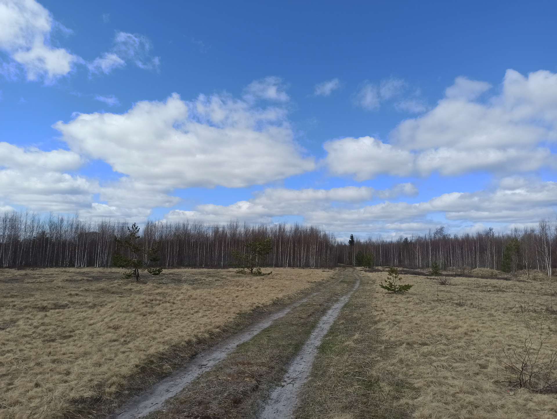 Южный соликамск. Смольки. Пестово Нижегородская область. Селянцево.