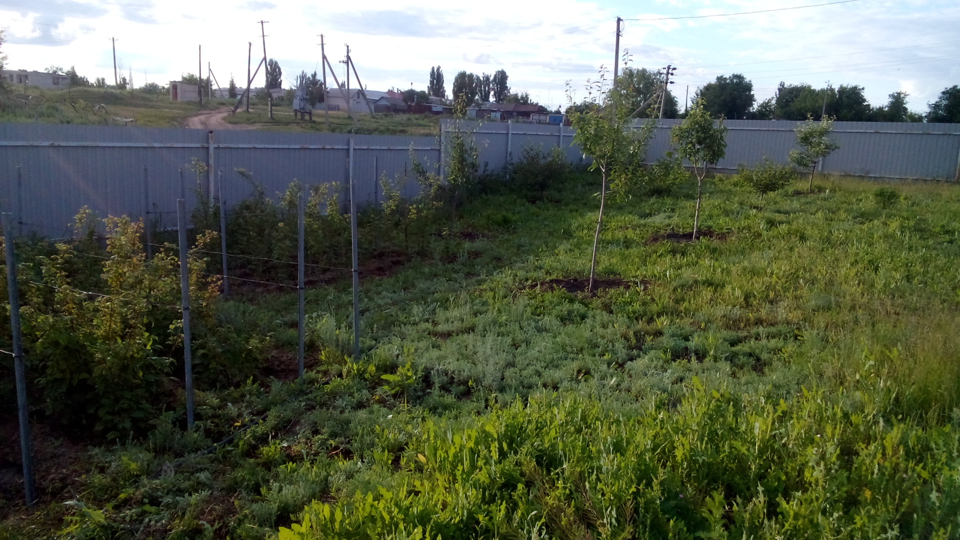 Погода поселок степной ленинский волгоградская. Посёлок Степной Волгоградская область. Степные поселения.