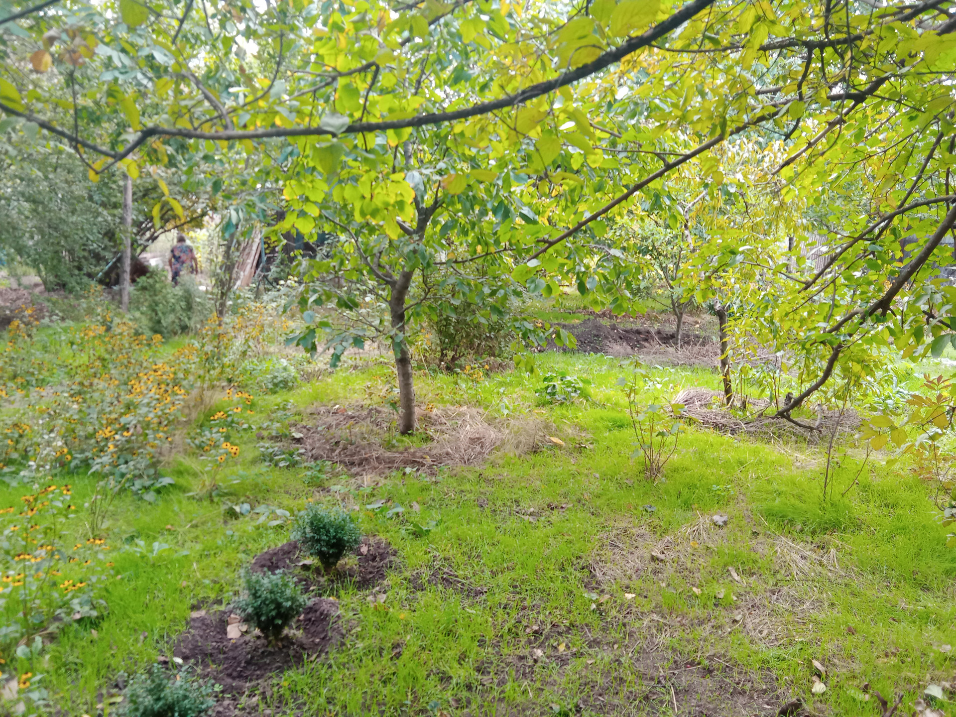 Продажа Участков В Ростовской Области