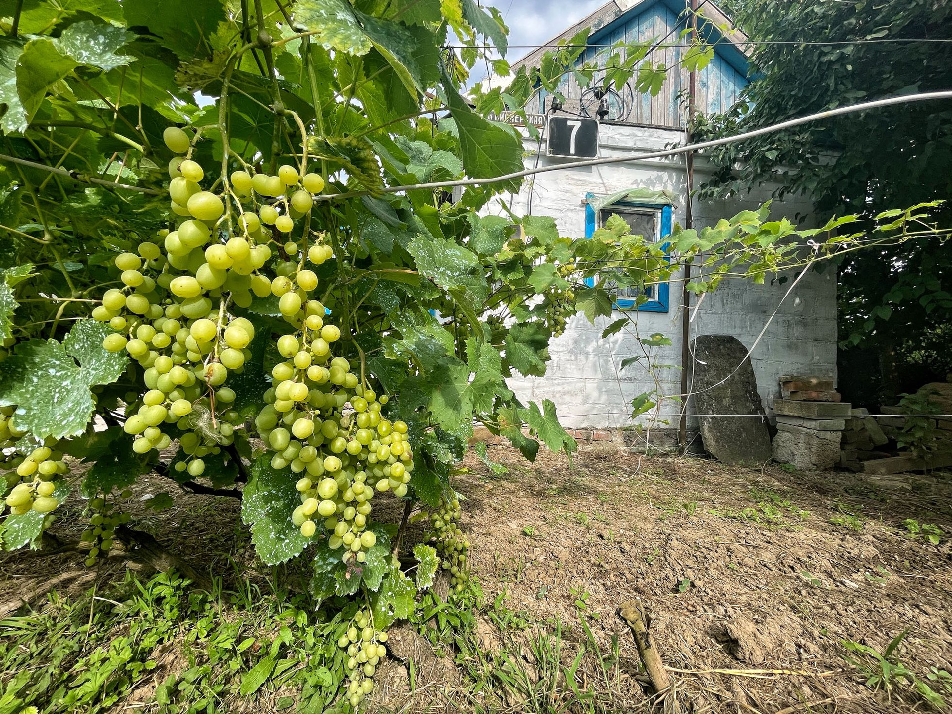 Купить Дом В Станице Петровская