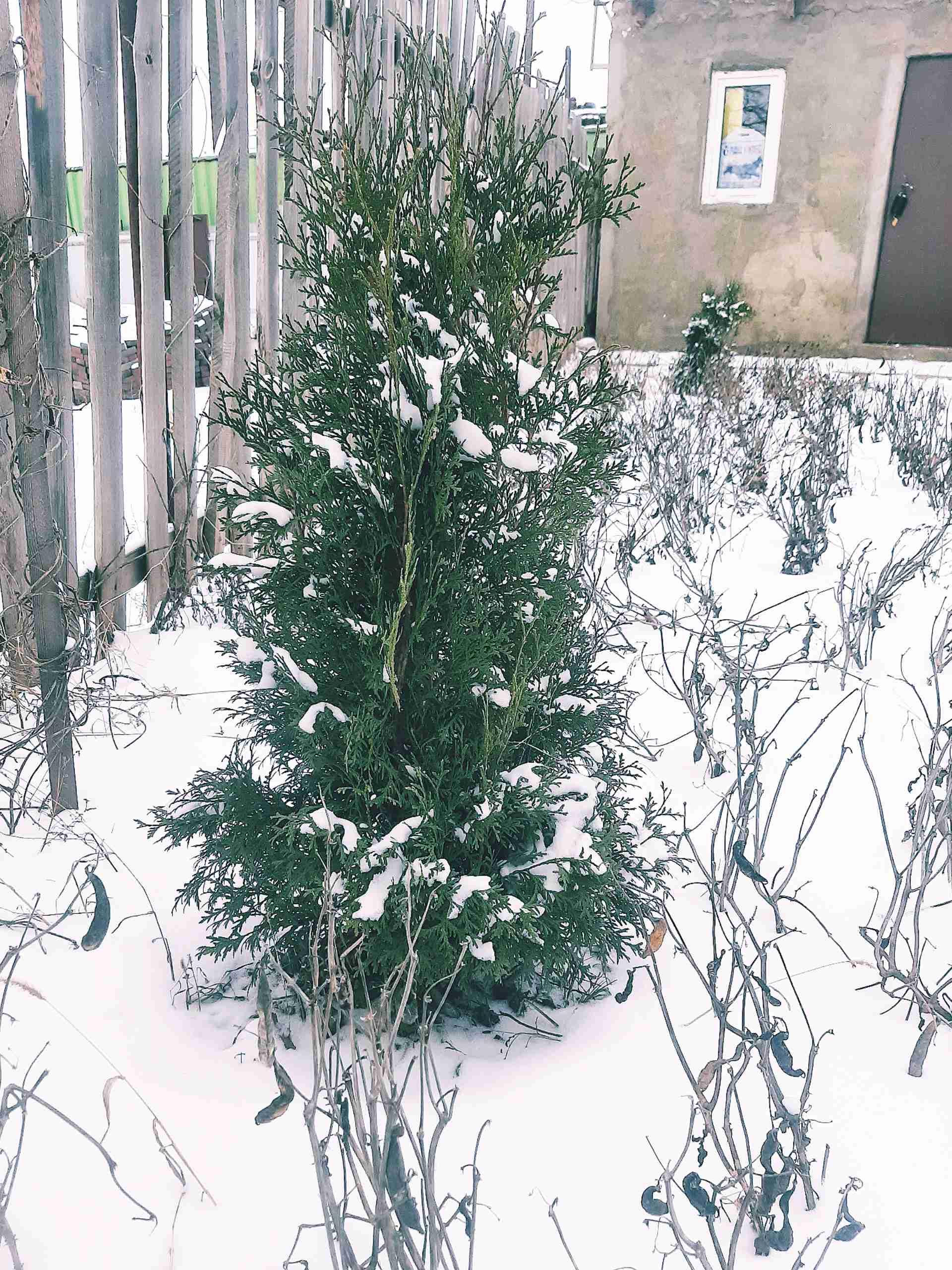 Купить Дом В Расково Саратовский