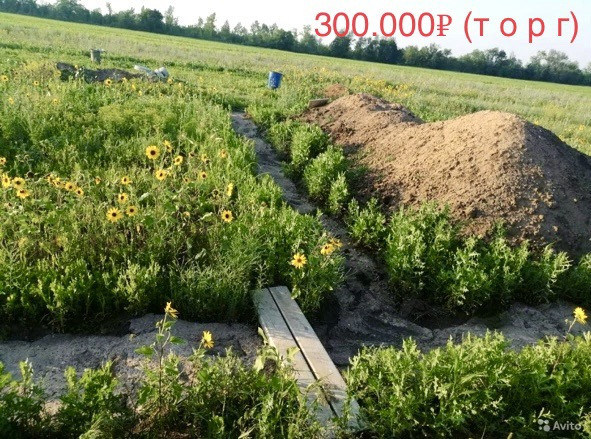 Снт сатурн оренбург улица 13 я