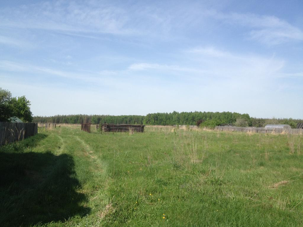 Деревня аринино. Деревня аринино московская область.