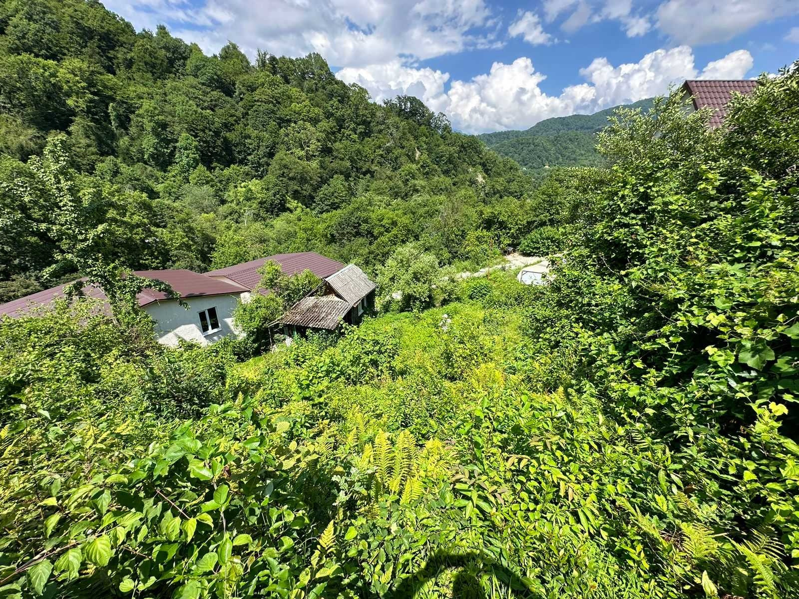 Купить Участок В Сочи Пластунка