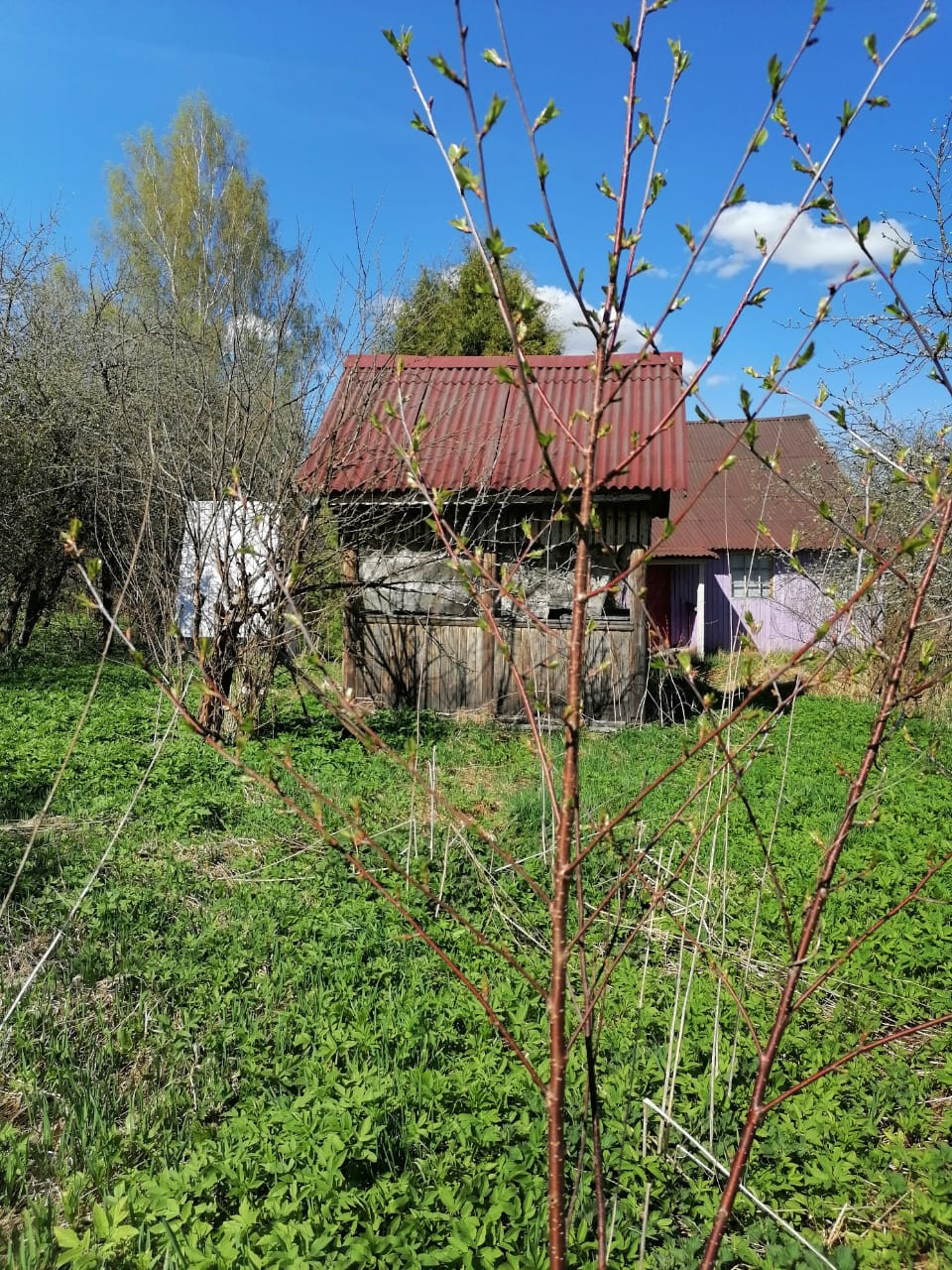 Купить дом, 86.6 м² по адресу Тверская область, Максатихинский  муниципальный округ, посёлок Малышево за 950 000 руб. в Домклик — поиск,  проверка, безопасная сделка с жильем в офисе Сбербанка.