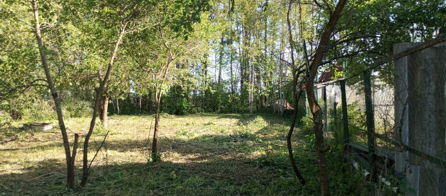 Фото Участок 7.5 сот., СНТ Сосновый бор, 15