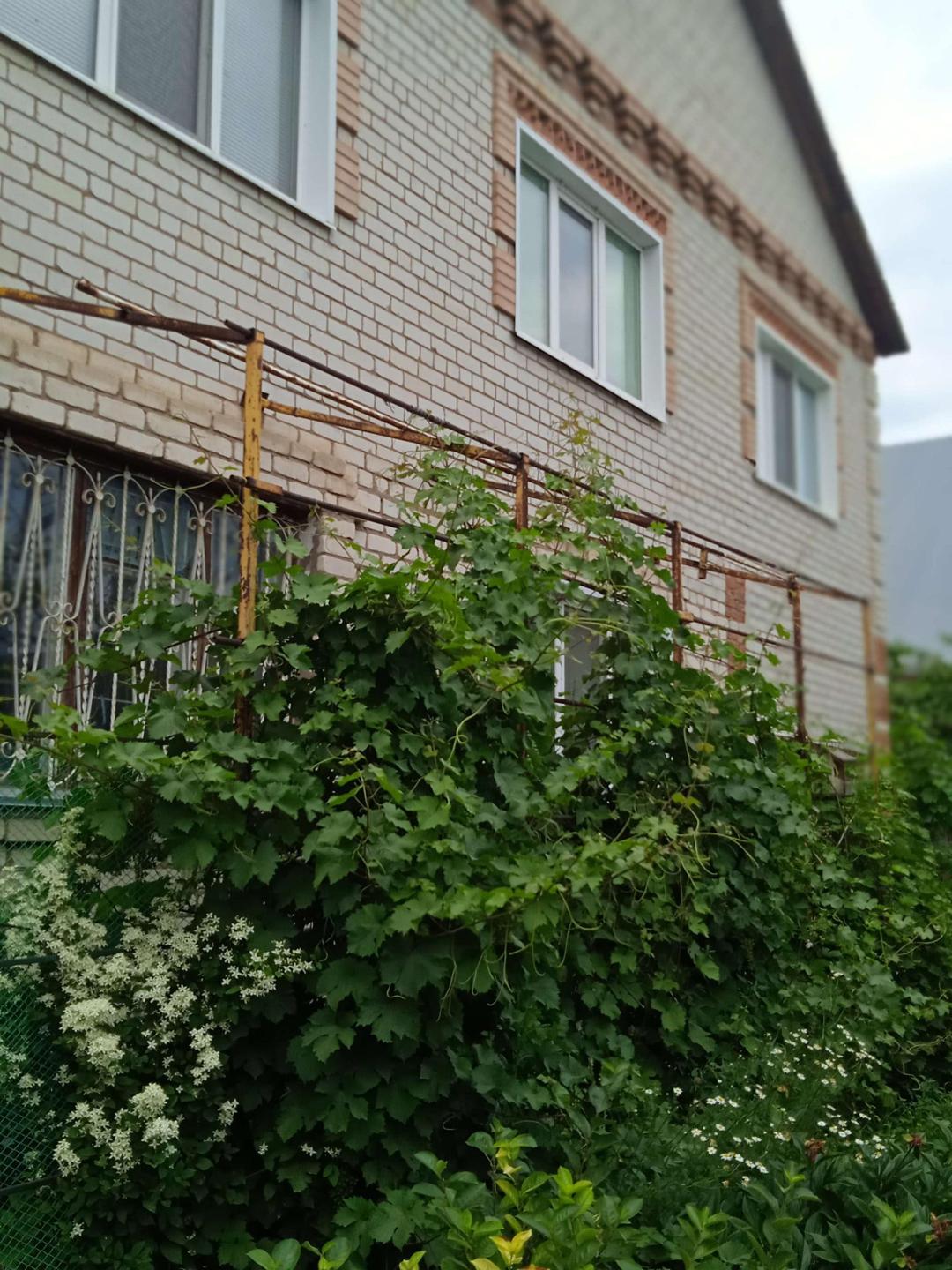 Купить Дом В Палимовке Бузулукского Района Оренбургской