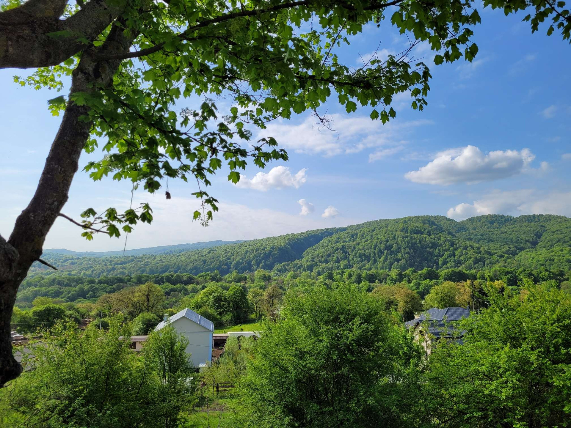 Белая речка кбр