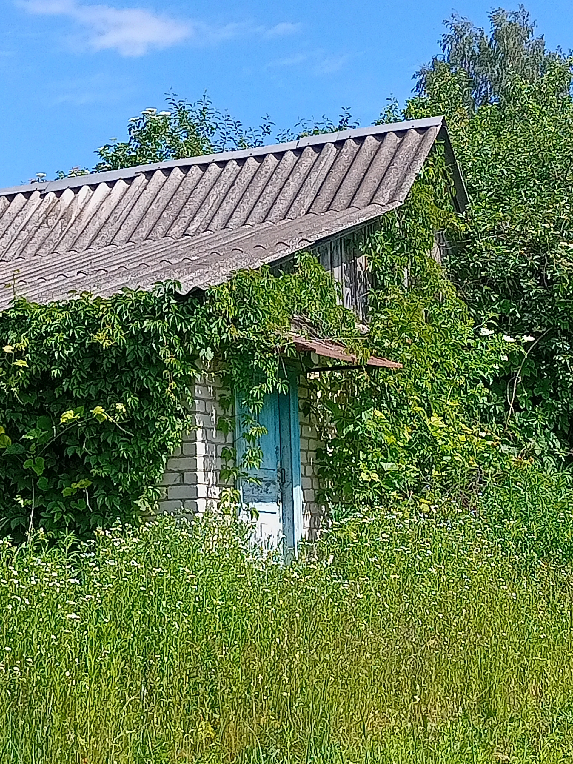 Купить Дачу В Железногорске Курской Области