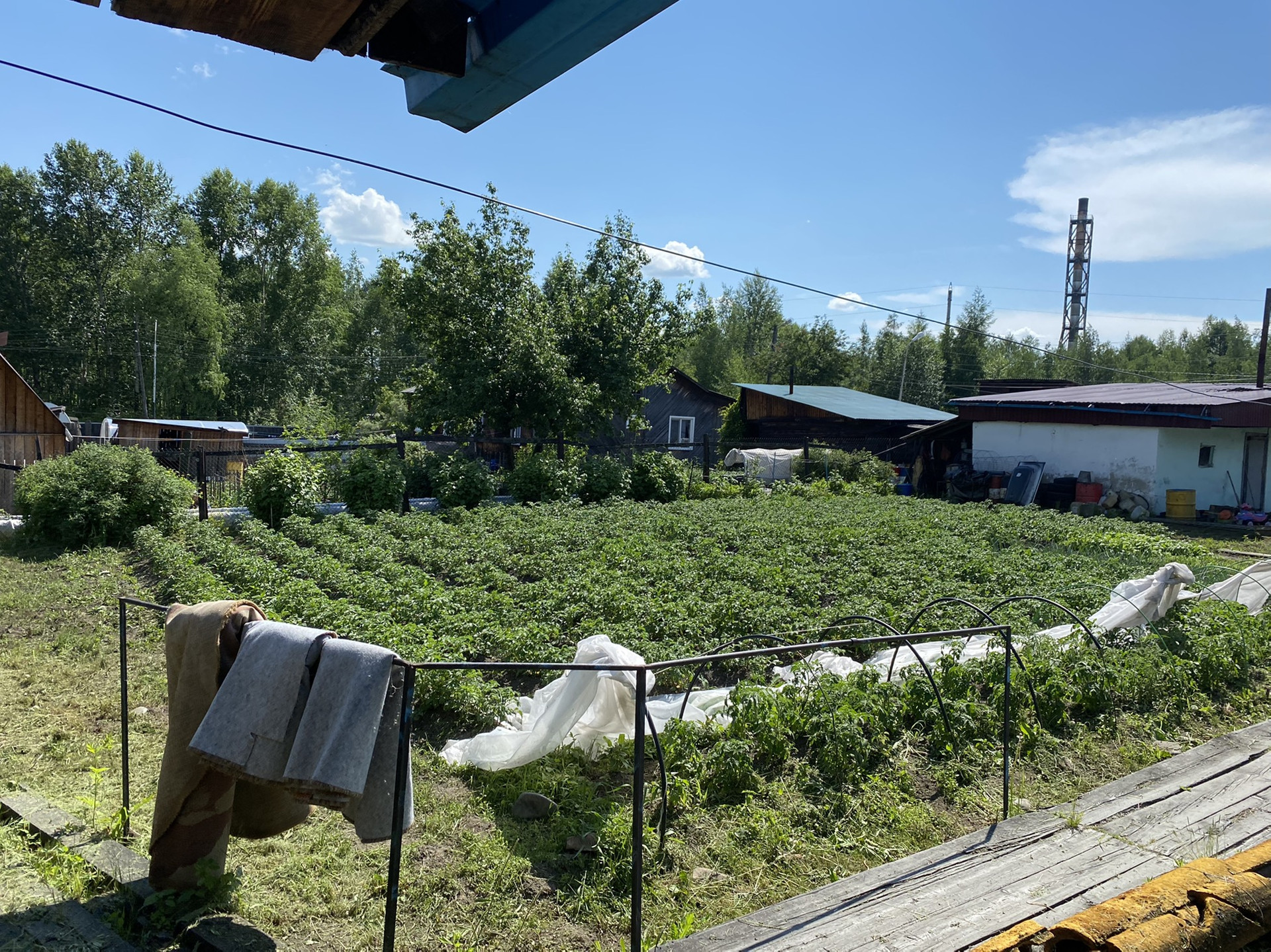 Купить дом, 69 м² по адресу Хабаровский край, Верхнебуреинский район,  рабочий посёлок Чегдомын, Фестивальная улица, 4 за 1 200 000 руб. в Домклик  — поиск, проверка, безопасная сделка с жильем в офисе Сбербанка.