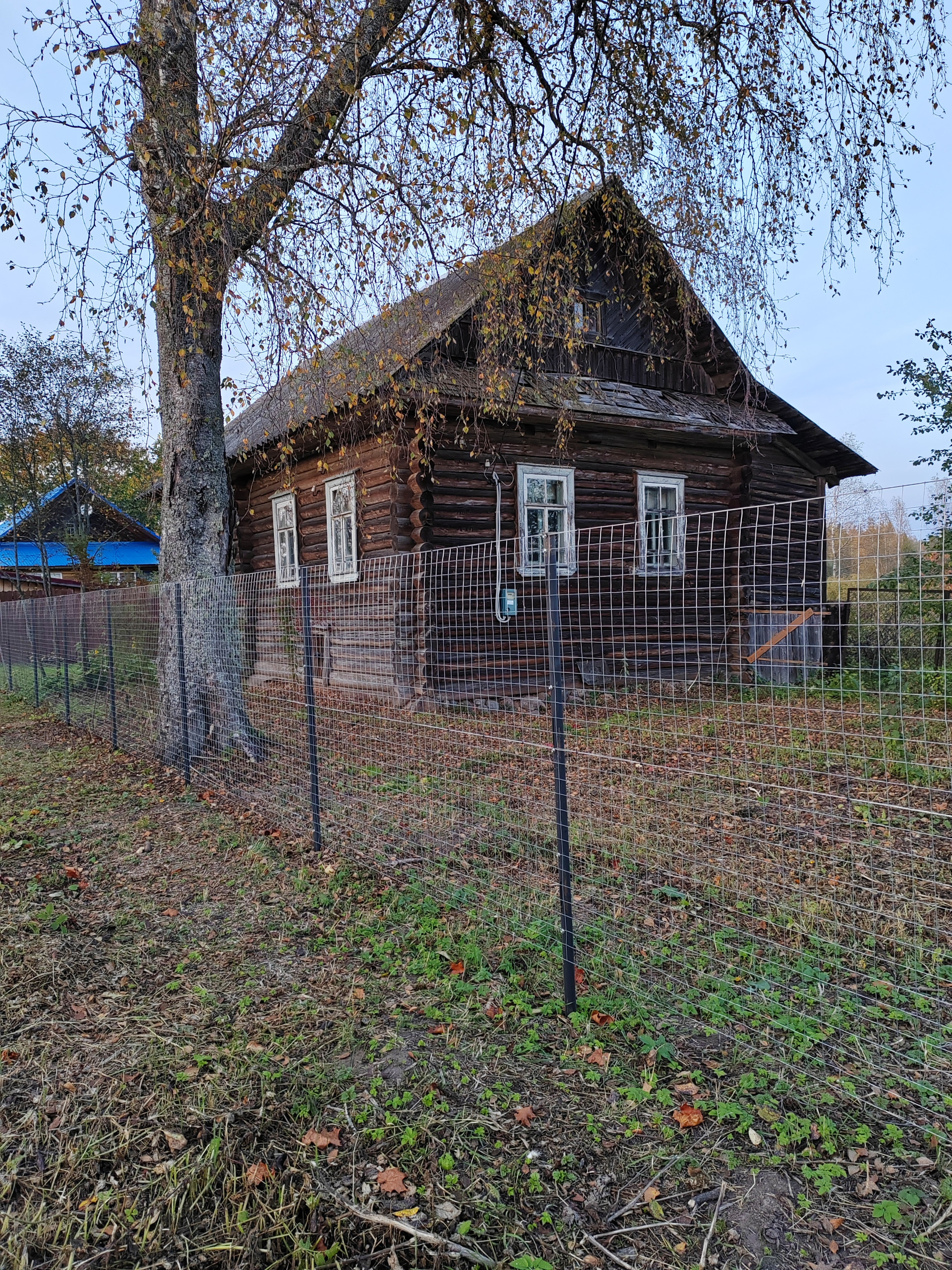 Купить Дачу В Могилевском Районе Недорого