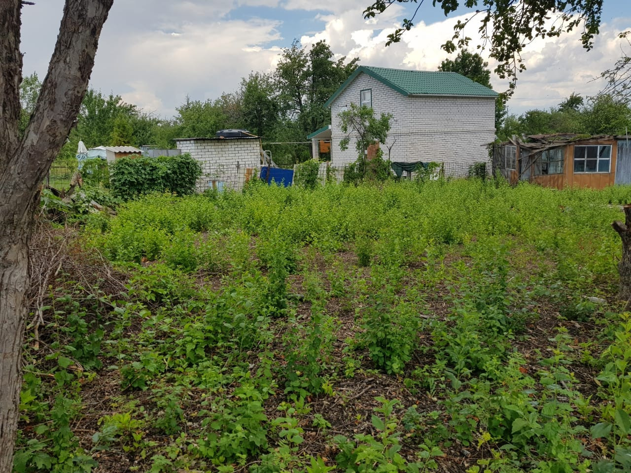 Купить Дачу В Новосемейкино Самара