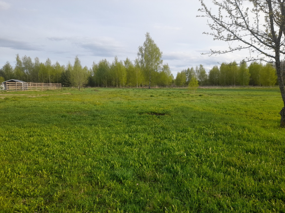 Участки под могилевом
