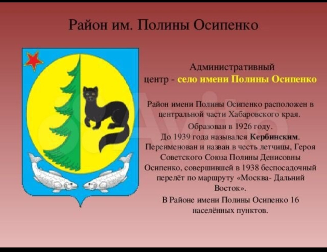 Погода п осипенко хабаровский. Село имени Полины Осипенко Хабаровского края.